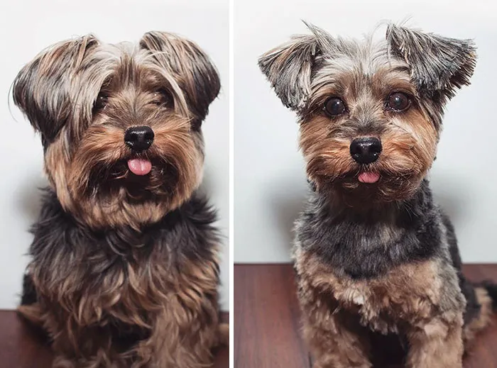 Winter Vs. Summer Cut