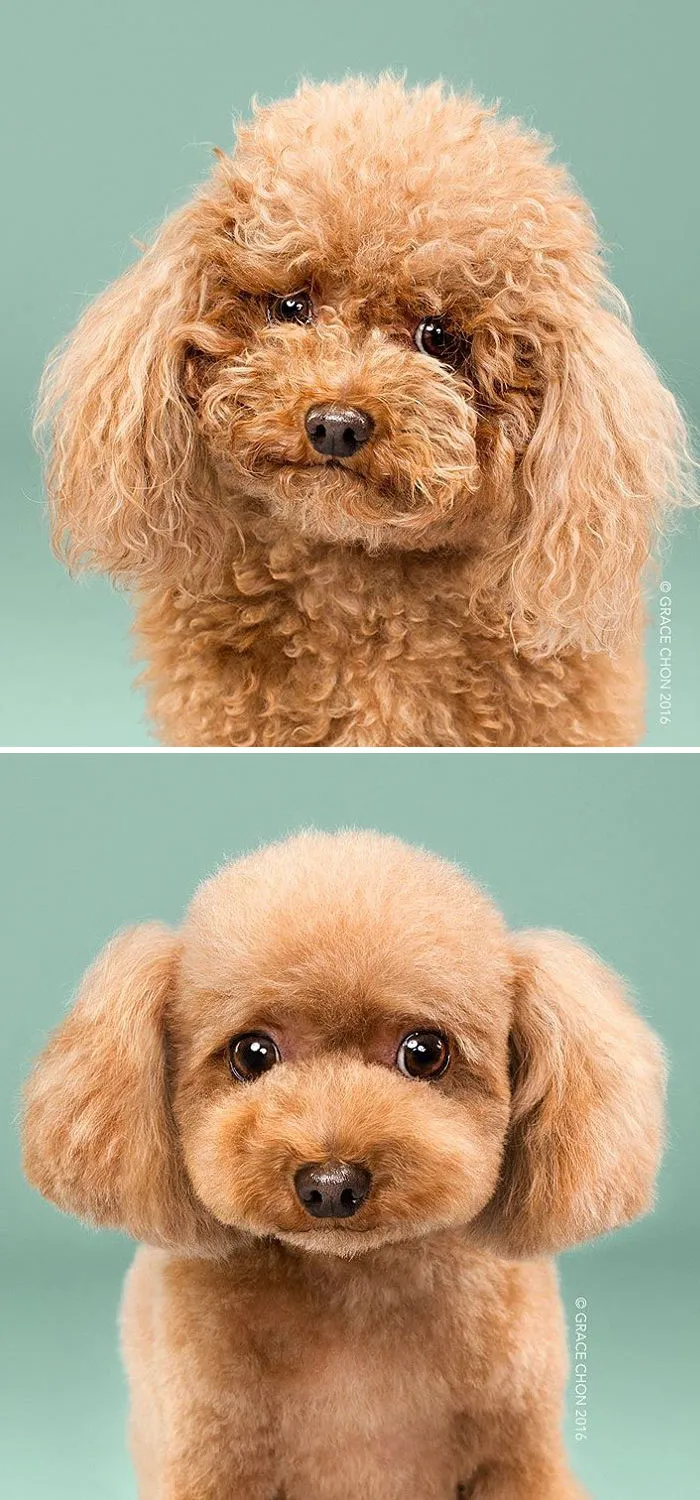 Biggie Smalls Before And After