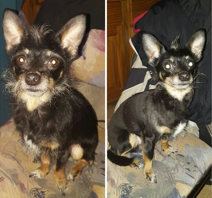 Hades - Lord Of Cuteness