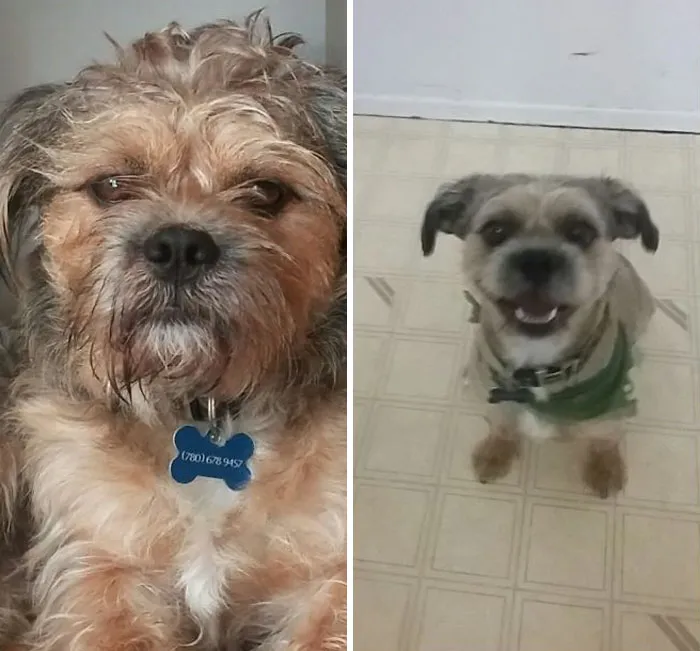 Looks So Much Younger