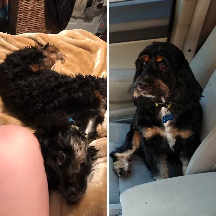 Before And After