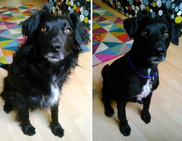 Before And After