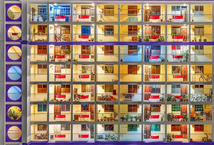 Lester Koh, Singapore National Award