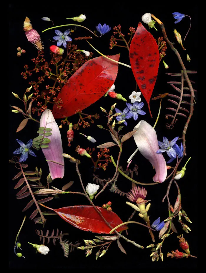 Zani Arkadina, Ukraine National Award