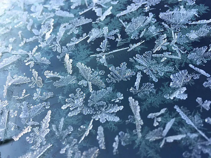 Snowflakes, Mobile Finalist