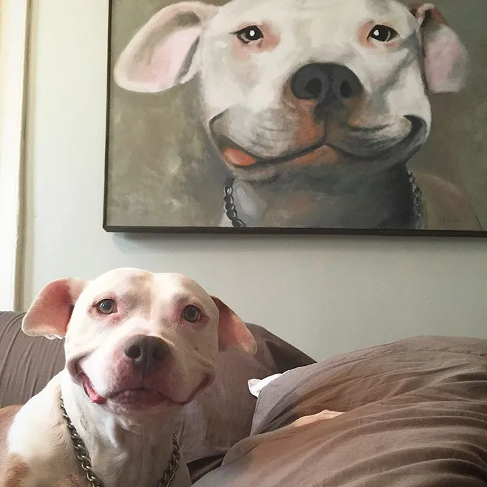 Smiling Pittie