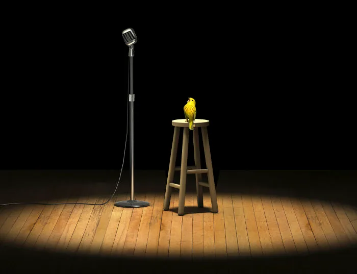 Solo Performance