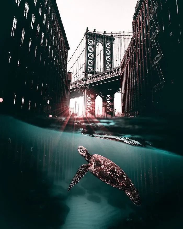 Si pudieras fotografiar tus sueños, quizá se parecerían a las imágenes de este artista turco