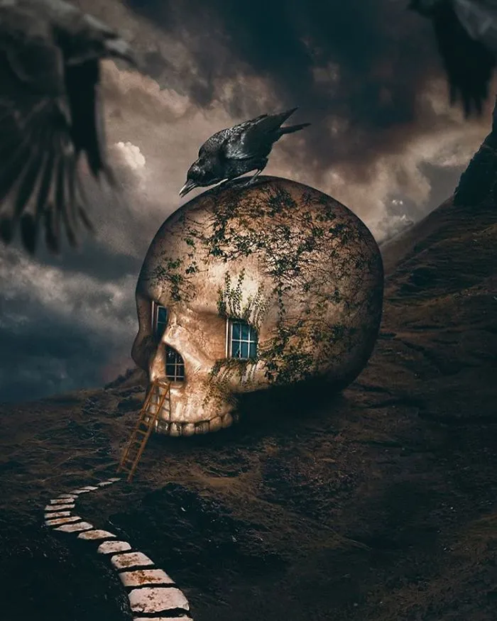 Huseyin Sahin Art
