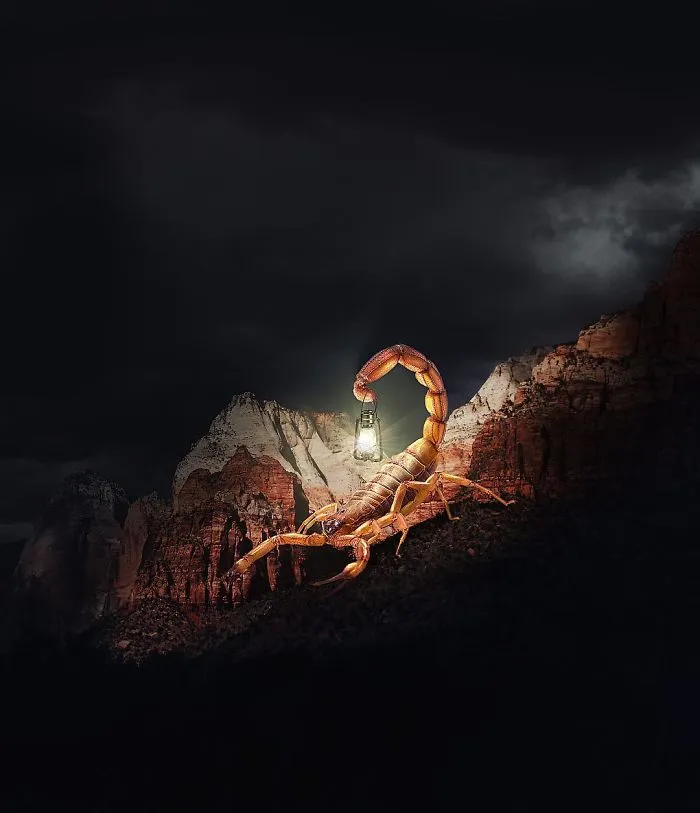 Huseyin Sahin Art