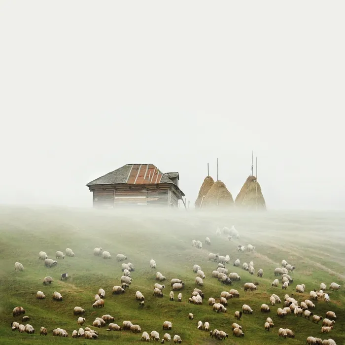 I Made Surreal Collages Featuring Home Architecture In Romania
