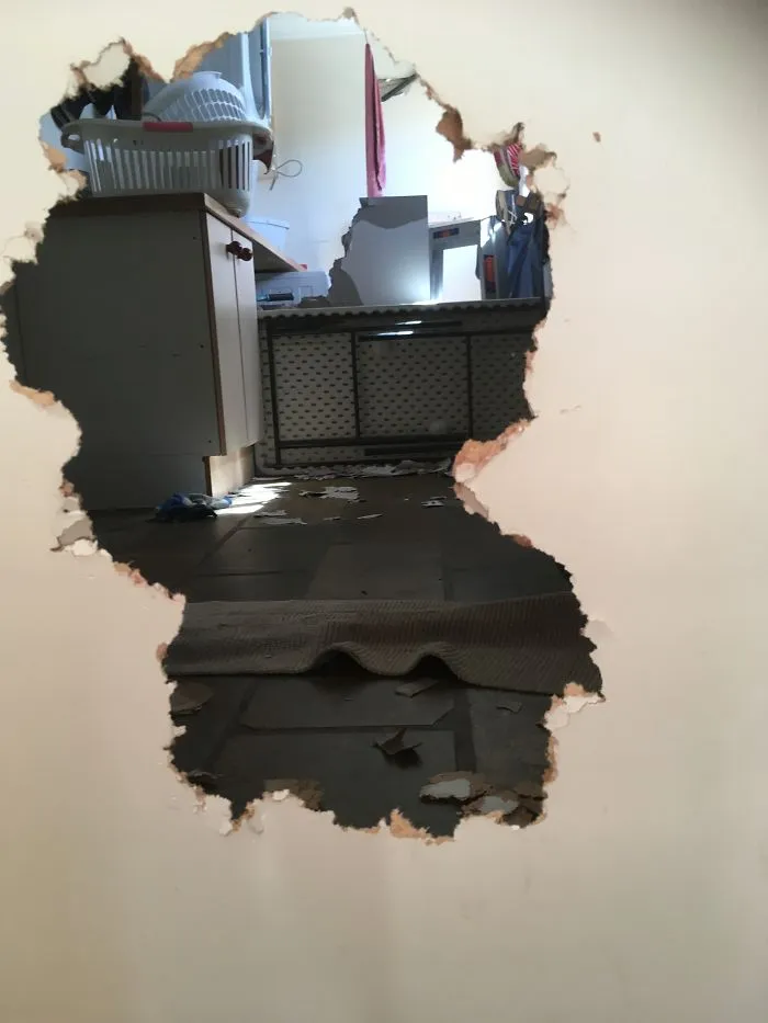 Dog Scratched His Way Through Door To Get Inside