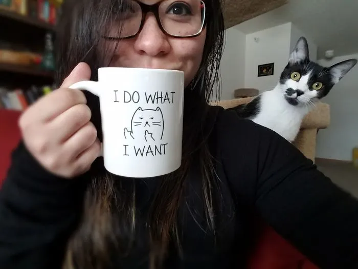 50 Times Asshole Cats Hilariously Photobombed Purrfect Shots