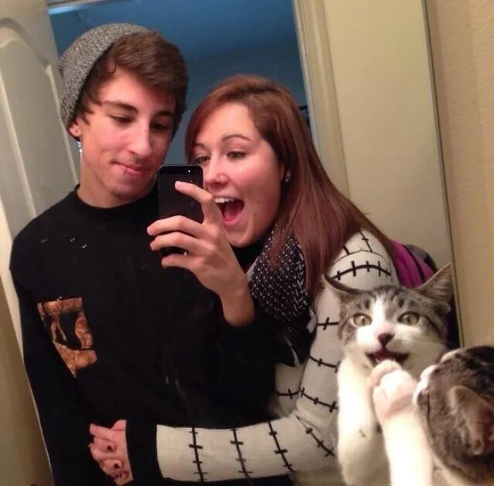 50 Times Asshole Cats Hilariously Photobombed Purrfect Shots