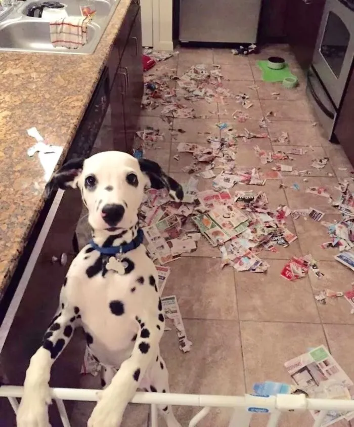 "I'm Glad You're Home. It's Been Pretty Boring Around Here"