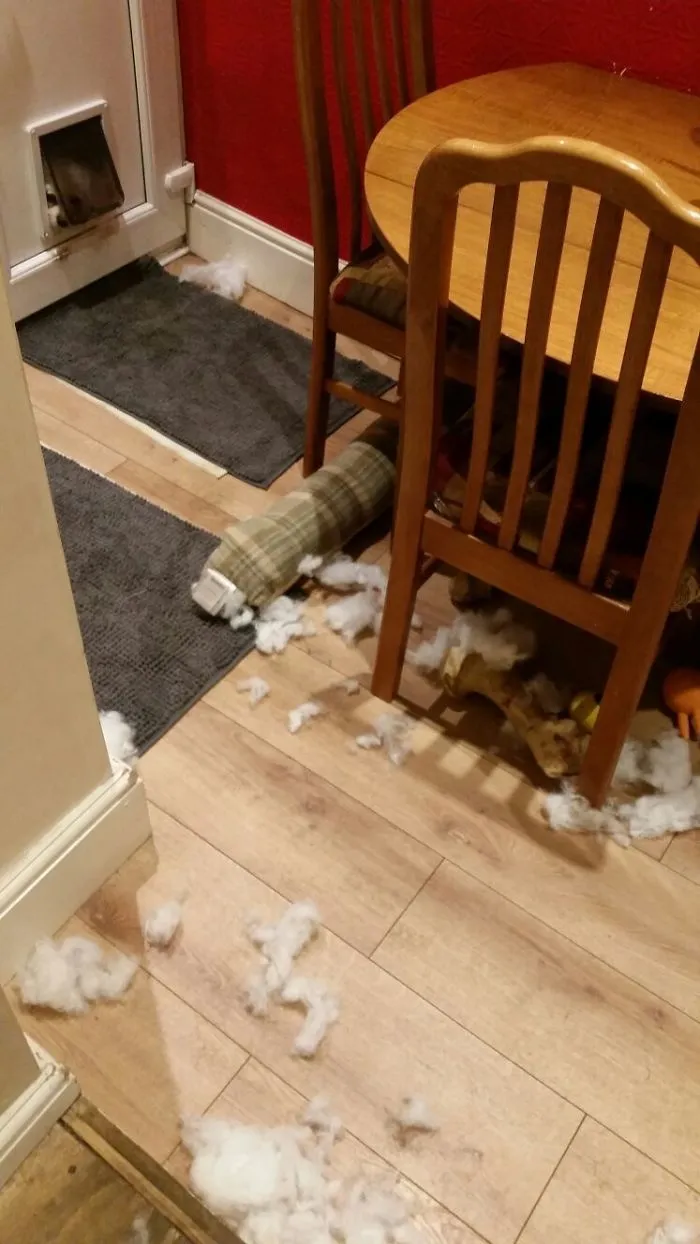 Guilty Party Lurking Round Somewhere
