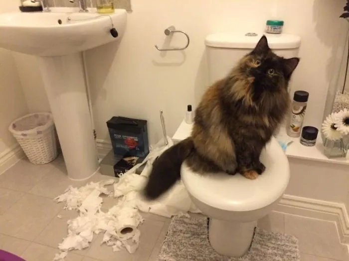 We Have One Suspect