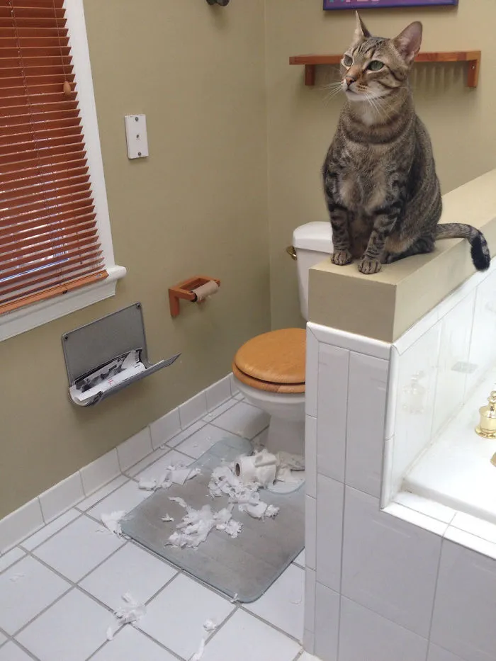 He's So Smug About It Too