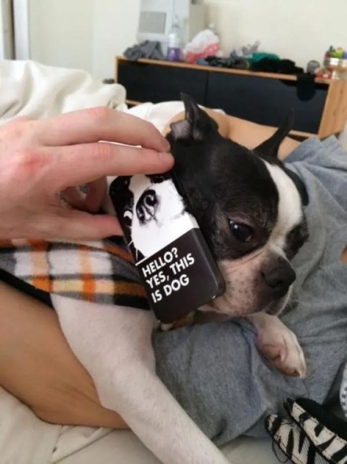 My Wife Made A New Phone Case
