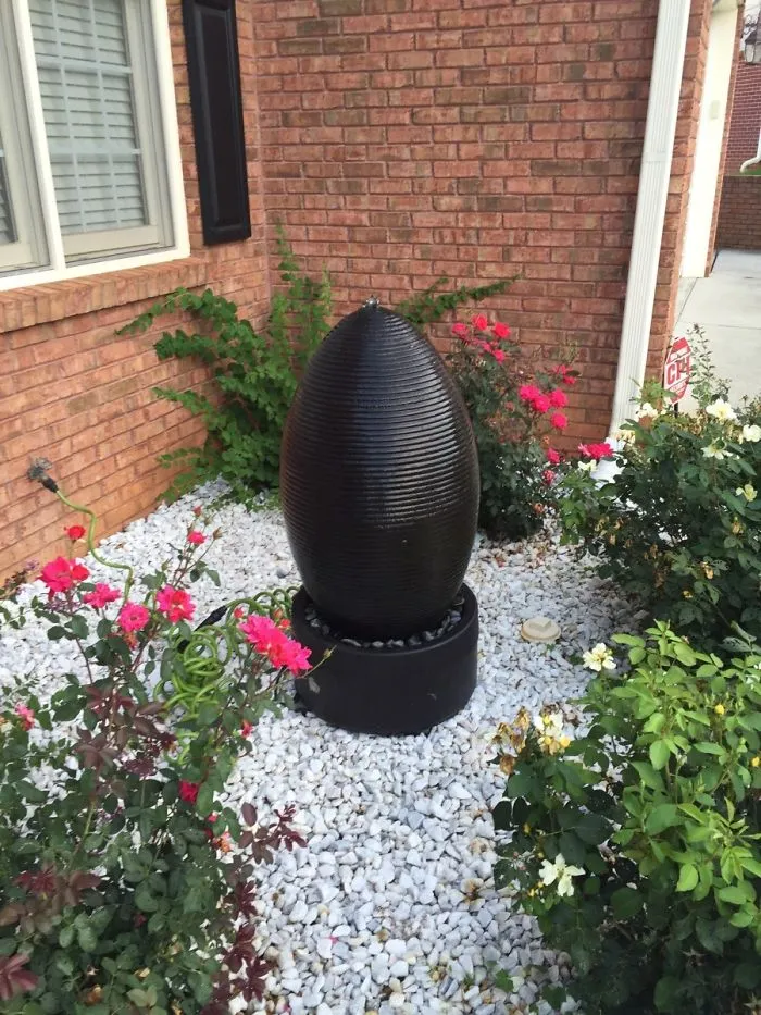 My Wife Said "Found Your Mom's Butt Plug"
