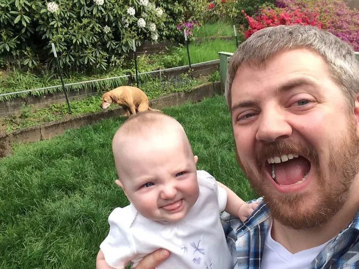 50 Times Asshole Dogs Ruined Perfect Shots