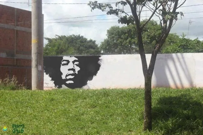 50 Amazing Street Art Installations That Cleverly Interact With Nature