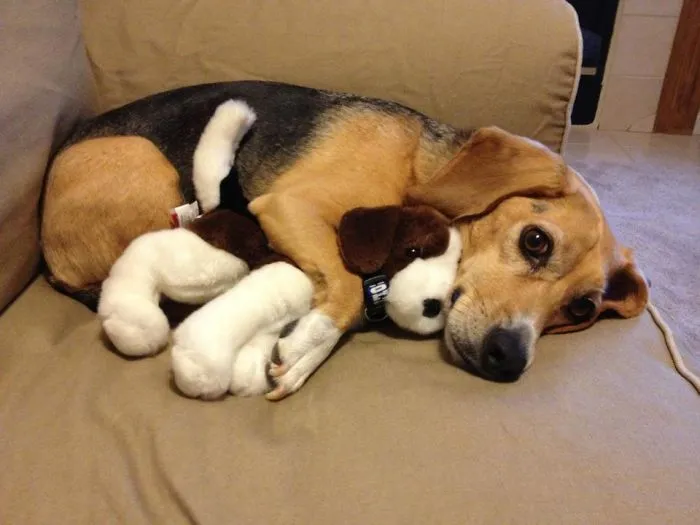 Big Spoon