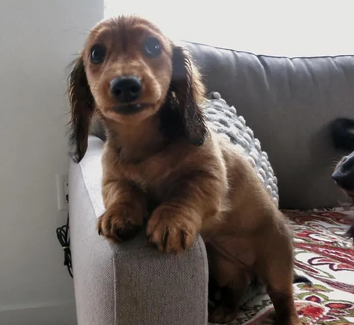 Scarred For Life After Her First Bath