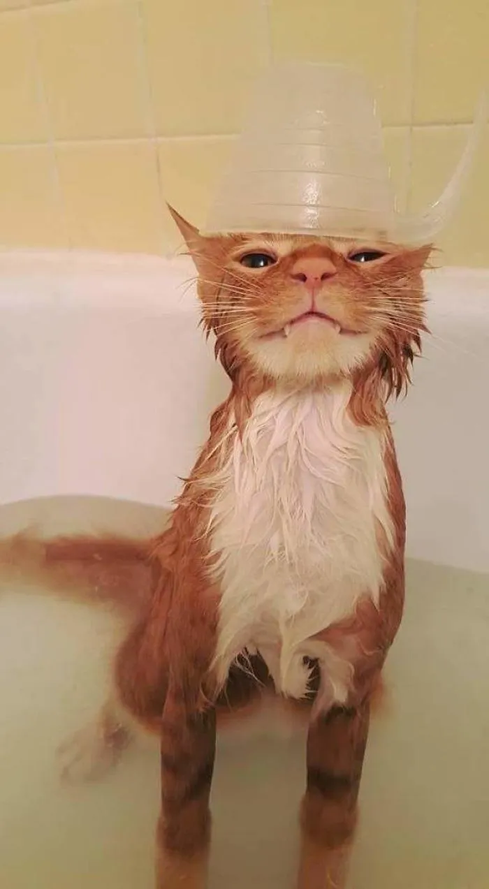 Bath Time Is The Best Time!