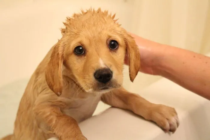 Can I Get Out Of This Bath Yet?