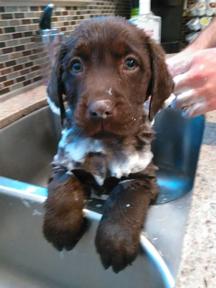 Hi Dad. It's Bath Time