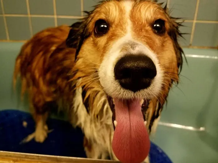 Bath Time!
