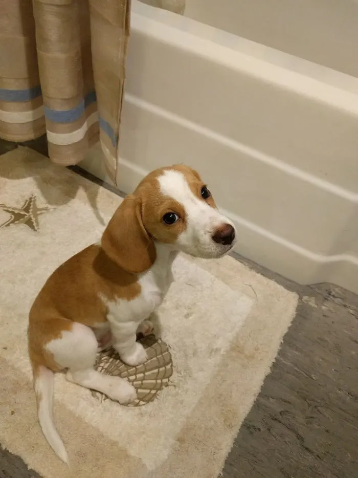 But Dad, I Don't Want A Bath