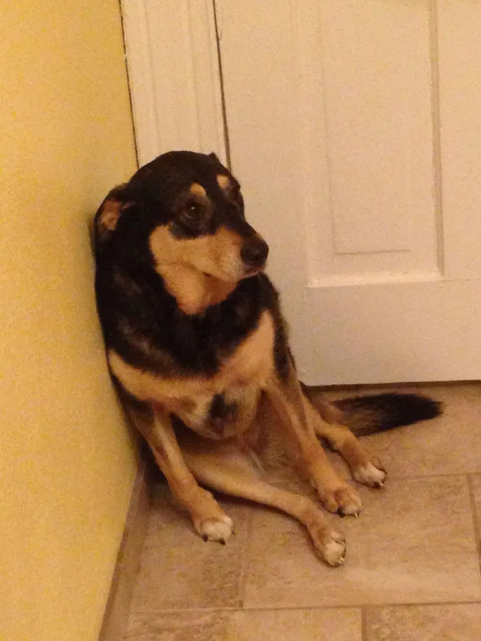 We Closed The Door. I Think She Knows It's Bath Time
