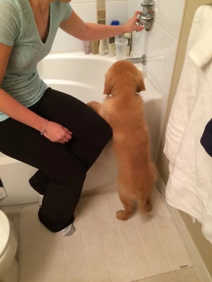 My Boy Getting Ready For His First Bath