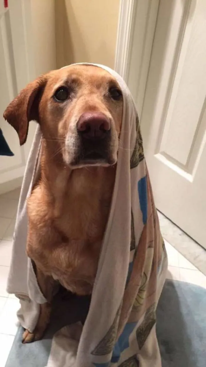 If You Think We're Taking Treats Into The Bathroom For Fun... You're Gonna Have A Bath Time
