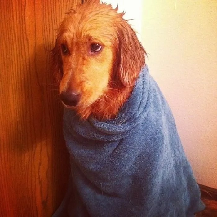 She Begged And Pleaded, But In The End She Had To Take A Bath