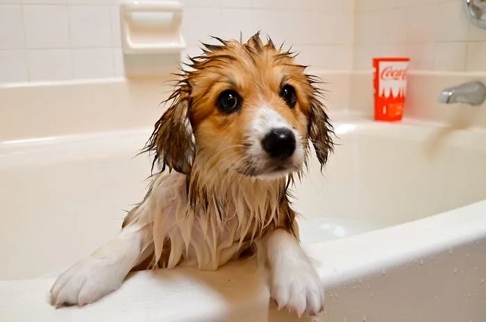 He Kinda Likes The Bath