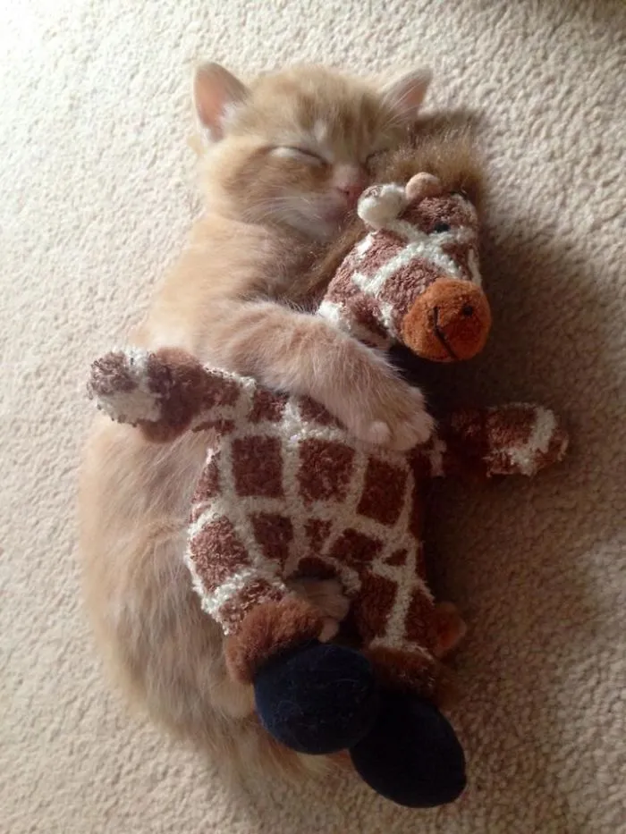 I Can Hear It Purring Softly