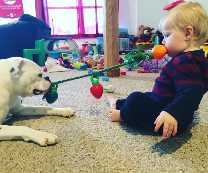 Mi sobrina jugando con el perro