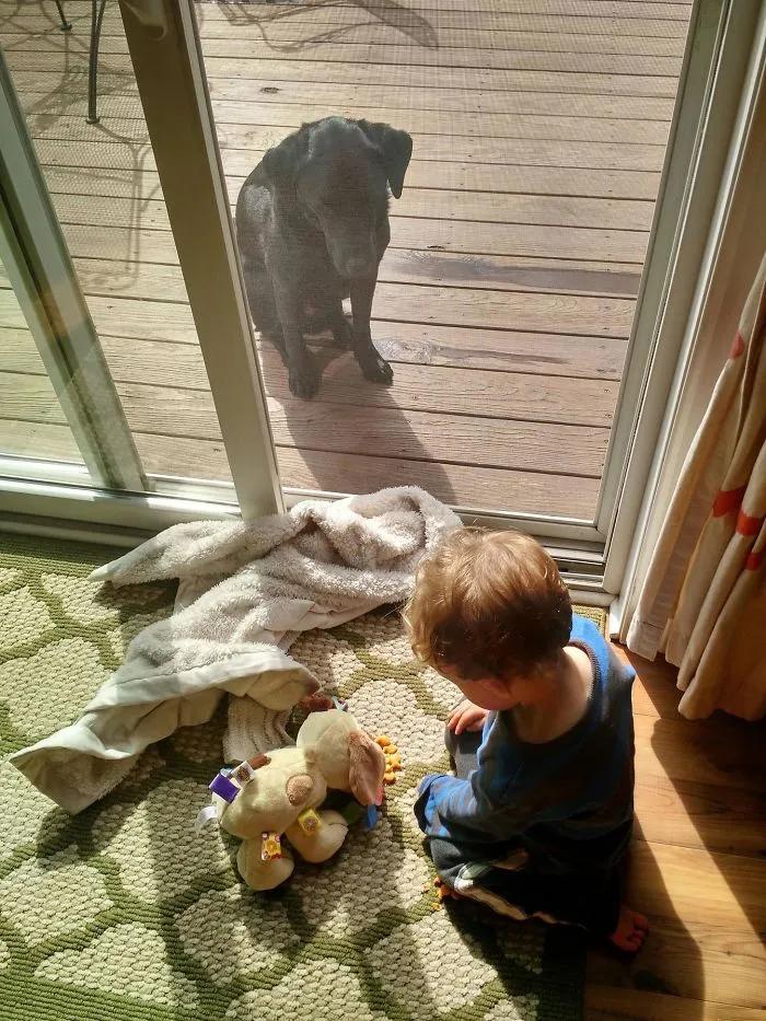 Mi hijo dándole de comer a su perro de peluche mientras su perro de verdad está fuera, enfadado