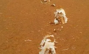 79 Incredible Pics That Will Make You Look Twice To Understand What You’re Seeing