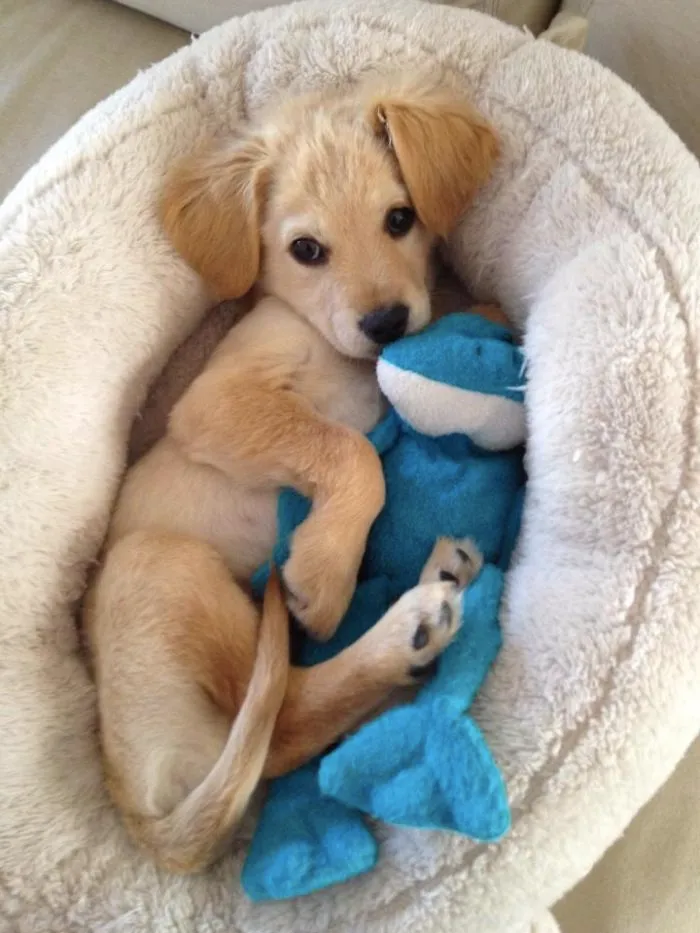 Snuggle-Time With Mr. Frog
