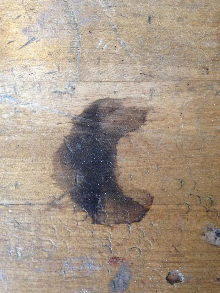 Esta mancha en la mesa parece un perro oliendo algo rico