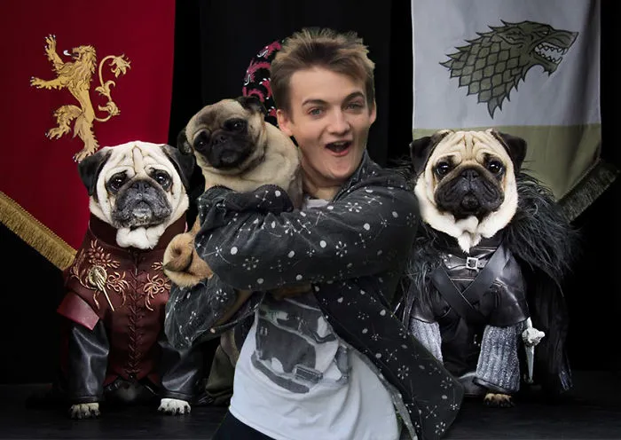 Juego de pugs