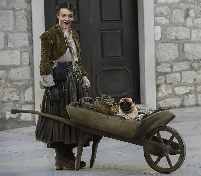 Ostras, almejas y pug