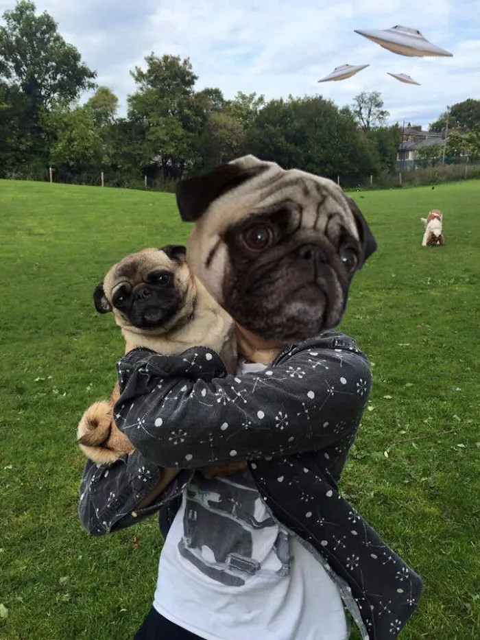 Guerra de los mundos edición pug