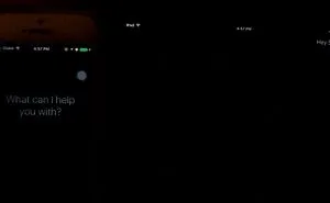 When Man Siri Meets Lady Siri