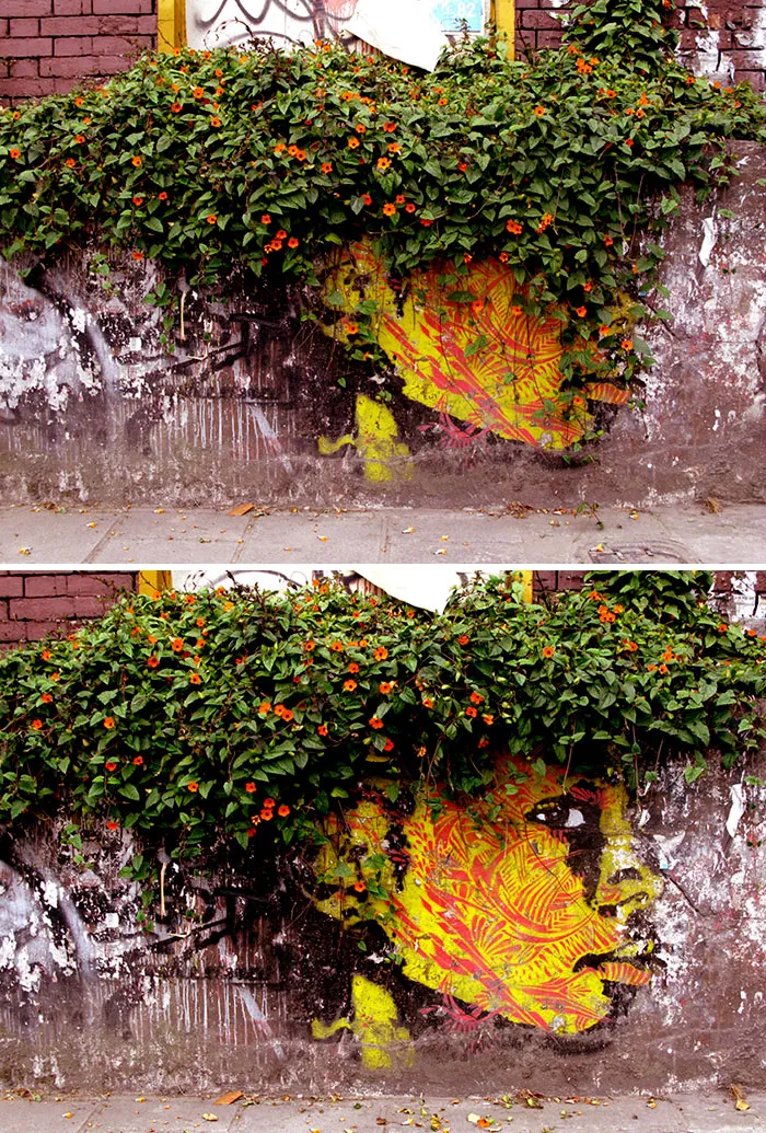 50 Amazing Street Art Installations That Cleverly Interact With Nature