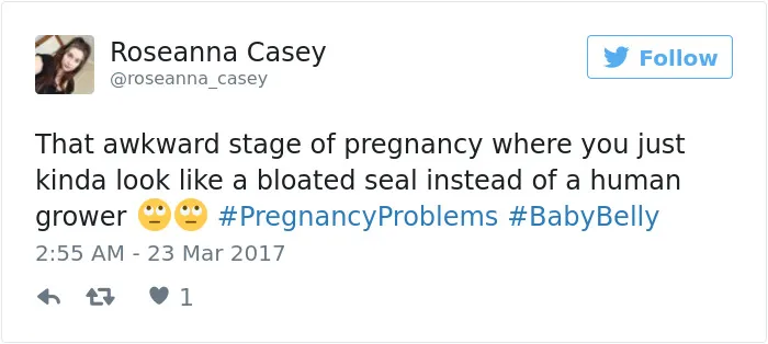105 Tweets About Pregnancy That Will Make You Laugh And Cry